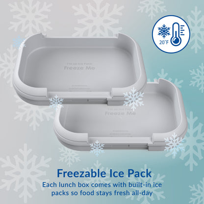 Bentgo® Chill Max Lunch Box (2-Pack) - Fog and Deep Teal | Freezable Ice Pack - Each Lunch Box Comes With Built-In Ice Packs So Food Stays Fresh All-Day